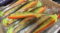 GUMA FOX RAGE SLIK SHAD 13CM NATURAL PERCH