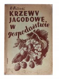 Krzewy jagodowe w gospodarstwie Ryszard Patorski 1938