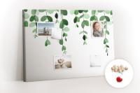 Pinezki i Duża Tablica Korkowa Liście roślin