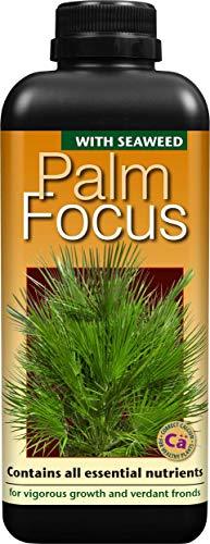 Growth Technology PALM FOCUS 1L nawóz odżywka do palm domowych/ ogrodowych