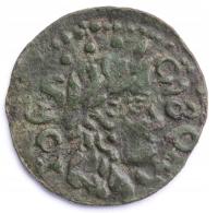 Jan II Kazimierz Szeląg . Fałszerstwo z epoki