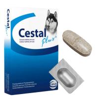 Cestal Plus Tabletka dla Psa na Odrobaczanie 1szt.
