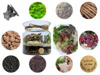 LAS W SŁOIKU LAS W SZKLE KOMPLETNY 10 elementów Z ROŚLINKĄ I SŁOJEM ZESTAW