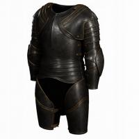 Resurrected D2R Myth Gothic Plate SC LD PC/PS/XB/NS