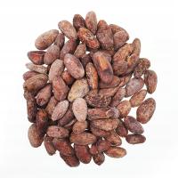 Dominikana Hispaniola BIO 1kg surowe ziarna kakaowca