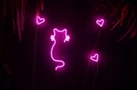 neon LED (z zasilaczem) Kot wąsaty 45x21cm *Produkt Polski*