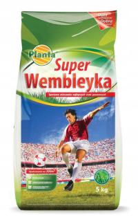 nasiona traw Super Wembleyka - Planta - 5 kg - trawa odporna na deptanie