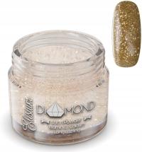 ELISIUM PUDER PROSZEK TYTANOWY DO MANICURE GLOWING GOLD D09 23g