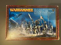 10x Princes of Caledor - METAL - High Elf Realms - Warhammer The Old World