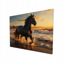 Obraz na płótnie Koń o zachodzie słońca 50x70