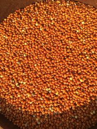 Чемпион здоровое зерно просо красное 1 кг