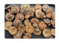 DEVALDANO Rydz cały 900g