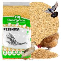 ПШЕНИЧНЫЙ КОРМ КОРМ ДЛЯ ПТИЦЫ КУРИЦА УТКА ГУСЬ ПТИЦА ГОЛУБЬ