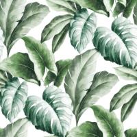Картинка листья пальмы на физелине 135407