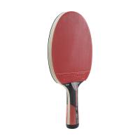 Dunlop Sports Dunlop Tabletennisbat Evolution 3000