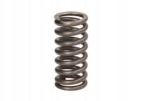 Sprężyna DELPHI 7204-0512