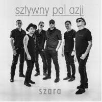 SZTYWNY PAL AZJI - SZARA /CD/