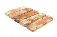 Płytki z Cegły na ścianę, Lico Classic Częstochowa