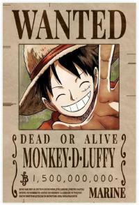 One Piece Monkey D Luffy Wanted - plakat 61x91,5 cm