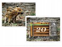 ПРОПУСКИ КАРТЫ ЖЕРЕБЬЕВКИ ПОЗИЦИЙ ТАБЛИЦА ЖЕРЕБЬЕВКИ