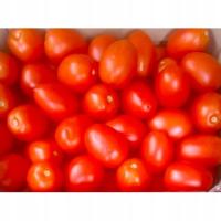 Gospodarstwo Rohoznice Pomidory sądowe