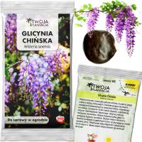 Китайская глициния семена глицинии Sinensis висячие лианы 1 шт.