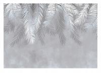 FOTOTAPETA LIŚCIE PALMY WISZĄCE PIÓRA SZARA SALON SYPIALNIA TAPETA 368x254