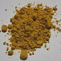 Kurkuma Z Javy Korzeń Mielony Curcuma Zanthorrhiza Roxb 100 G Rafex