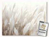 FOTOTAPETA FLIZELINA NATURA TRAWA PAMPASOWA PUCH BOHO SCANDI 368x254 klej