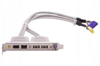 Icpc Śledź z portami 2x FireWire 2x USB 2.0