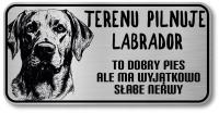 Uwaga pies tabliczka 20x10 Labrador