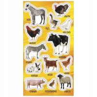 NAKLEJKI ZWIERZĘTA GOSP. DOMOWEGO 13 SZTUK RANOK