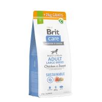 BRIT CARE SUSTAINABLE ADULT LARGE INSECT 12+2kg