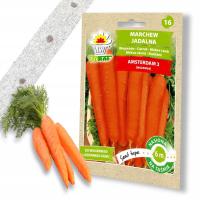 Семена на ленте морковь большой посев с апреля рассыпчатая сочная для соков