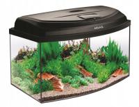 АКВАРИУМ ОВАЛЬНЫЙ 45 СВЕТ ДЕНЬ НОЧЬ ОБОРУДОВАНИЕ