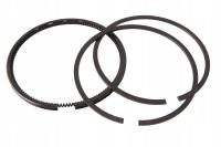 PIERŚCIENIE BRIGGS & STRATTON 495854