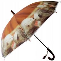 Зонтик зонтик для детей типа трость котята