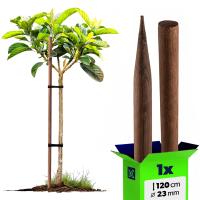 PALIK DREWNIANY IMPREGNOWANY 120 cm PODPORA DRZEWEK ROŚLIN TYCZKA fi 23 mm