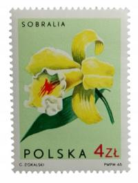 Fi 1469 MK Niespasowanie barwy ** GWR OPIS PZF K16084