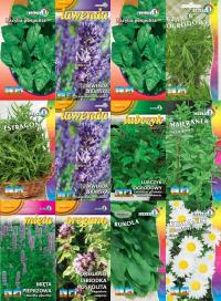 Семена коллекция семян травы и специи - 10 самых популярных видов