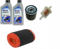 ZESTAW SERWISOWY SILNIKA THORX CUB CADET MTD 547CC