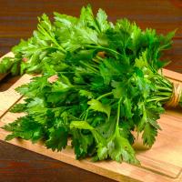 ПЕТРУШКА Naciowa FEST семена PROFI 5g