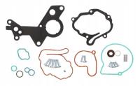 USZCZELKI ZESTAW NAPRAWCZY POMPY VACU AUDI SEAT SKODA VW TDI 038145209