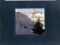 Karkonosze Śnieżne Kotły. Die Schneegrubenbaude. Tafel 15, druk barwny 1924