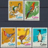 Kuba - Fauna Zwierzęta Ptaki Papuga