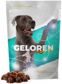 Geloren Large Dog na stawy duże psy 1 x (60 szt, 420 g) fa