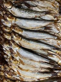 SZPROT BAŁTYCKA SZPROTKI BAŁTYCKIE WĘDZONE NA GORĄCO 500g