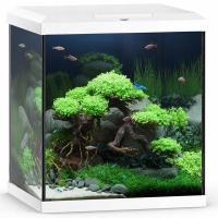 JUWEL Vio Cube 54 białe