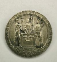 Srebrny medal wypowiedzenie wojny przez Reichstag 1914 r., I wojna światowa