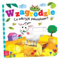 W ZAGRODZIE. CO ODKRYJĘ PALUSZKIEM? GRAŻYNA WASILEWICZ